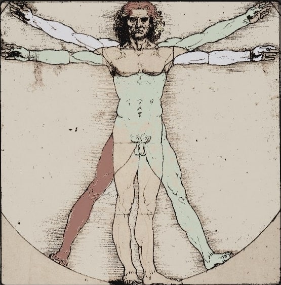 illustration du fameux homme de Vitruve œuvre de Léonard de Vinci colorisée